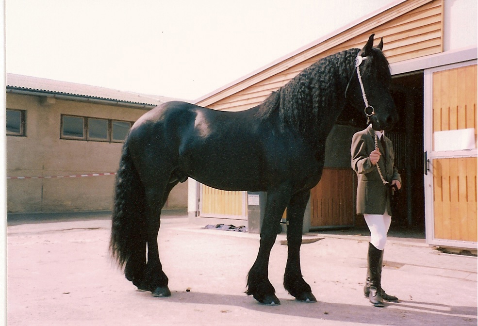 Elko R