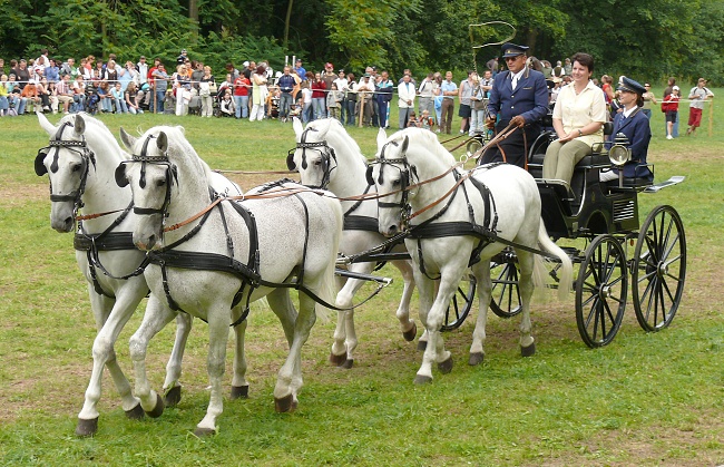 kladrubská čtyrka